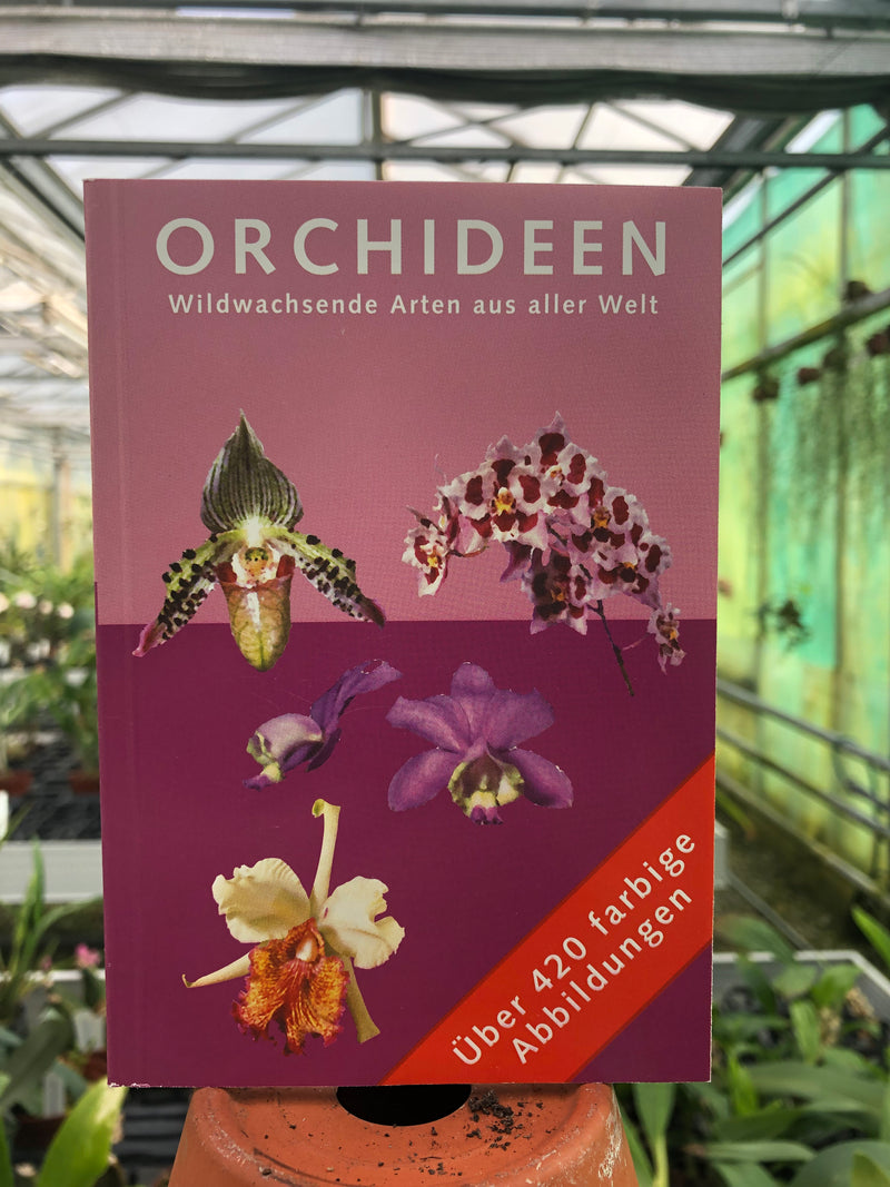 Orchideen - Wildwachsende Arten aus aller Welt