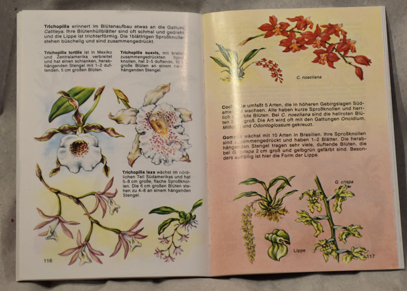 Orchideen - Wildwachsende Arten aus aller Welt