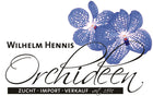 Hennis Orchideen