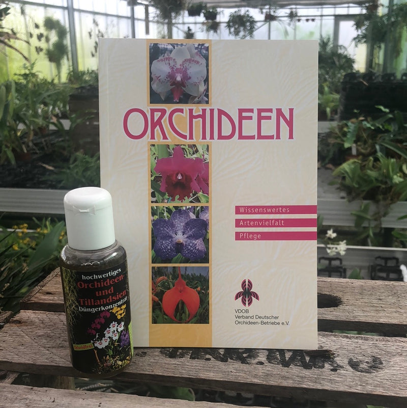 Orchid and tillandsia fertilizer concentrate