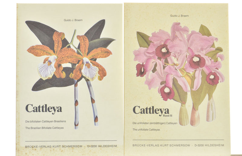Cattleya - bifoliate + Volume II the unifoliate